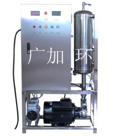 专业水处理 高浓度带混合泵一体化臭氧水生成器