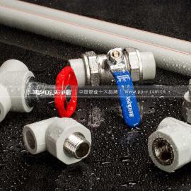 工程专用管灰色PPR管，PPR管材管件批发，PPR管材管件代理